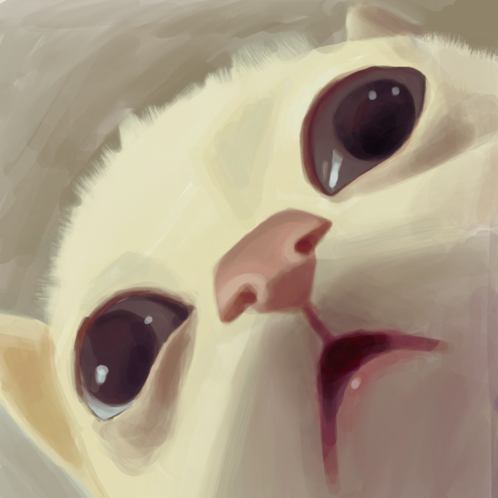 El Gato Illustration